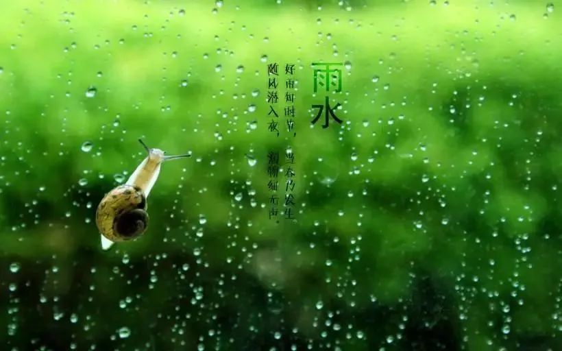 “雨水”來了，注意健脾祛濕防春寒，保健養(yǎng)生這么做！