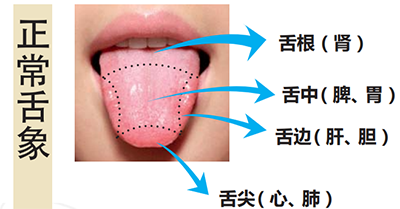 正常舌象